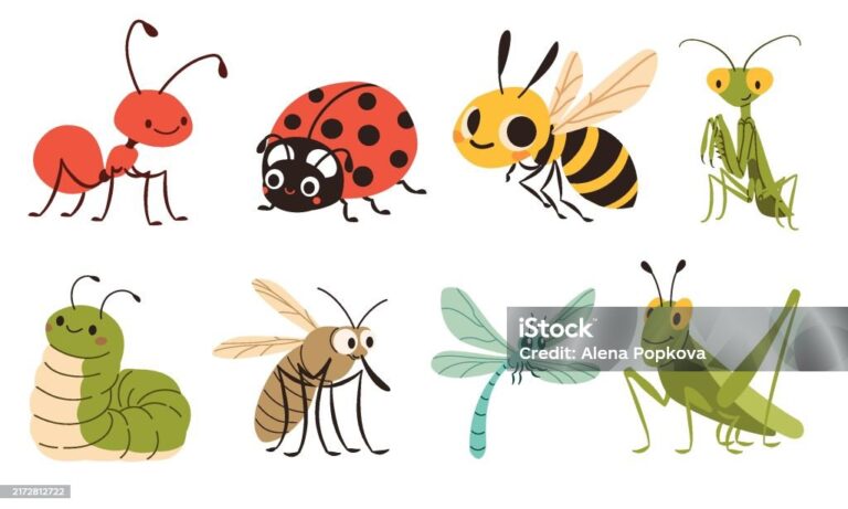 Insektet e përmendura në Kuranin Famëlartë