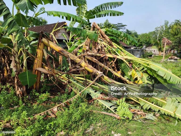 Shembulli i mosbesimtarit që shpenzon
