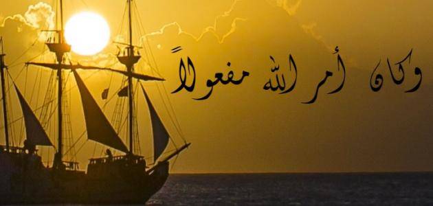 Çdo gjë është me kader, madje edhe paaftësia dhe zgjuarsia