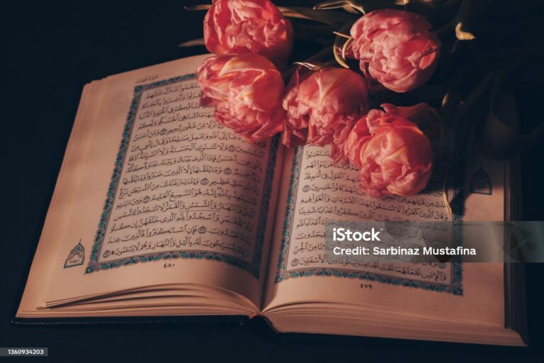 Ashtu si ruan fjalët e shpalljes hyjnore… duhet të ruash dinjitetin e krijesave