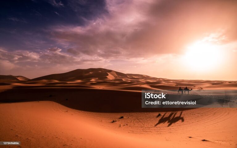 Argumentet e  besimit në kader nga Kurani
